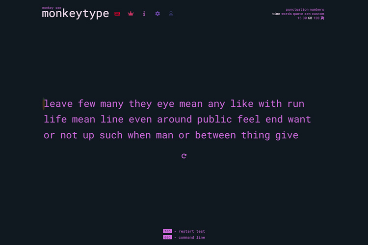 Monkeytype website