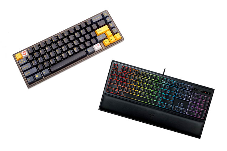 Mecha Membrane vs. Mechanical Keyboard 1 cover